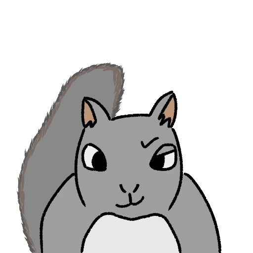 MAGIC SQUIRREL　（マジック・スクウォール）